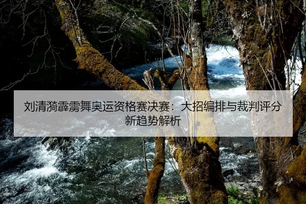 liu-qing-yi-pi-li-wu-ao-yun-zi-ge-sai-jue-sai-da-zhao-bian-pai-yu-cai-pan-ping-fen-xin-qu-shi-jie-xi-2-625.jpg