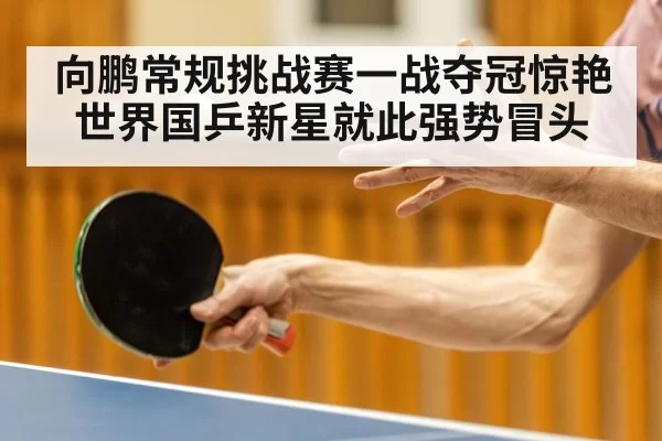 向鹏常规挑战赛一战夺冠惊艳世界国乒新星就此强势冒头