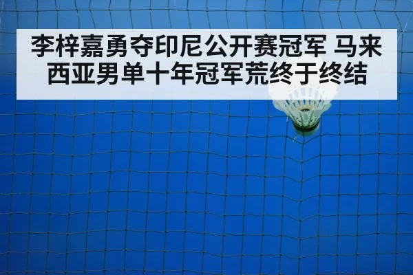 badminton net shot