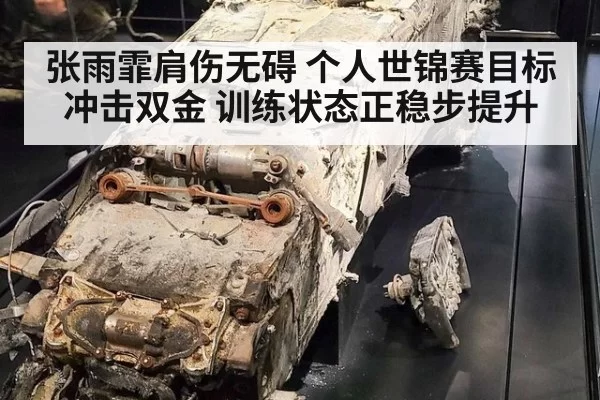 张雨霏肩伤无碍 个人世锦赛目标冲击双金 训练状态正稳步提升